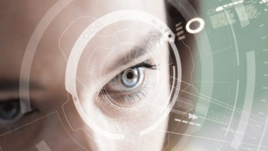 The Future of Digital Identity and Authentication