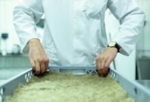 future innovation development focus