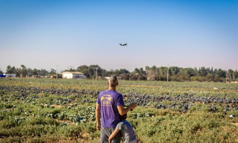 innovative growth strategy outline