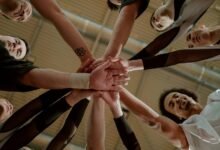 nova arc synergy concept