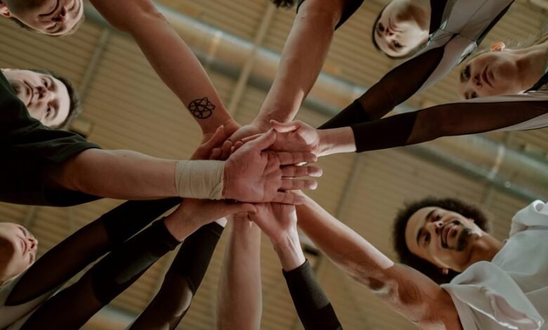 nova arc synergy concept