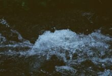 radiant stream momentum 662903742