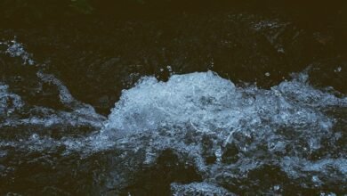 radiant stream momentum 662903742