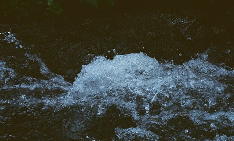 radiant stream momentum 662903742