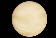 stellar profit orbit 911087241