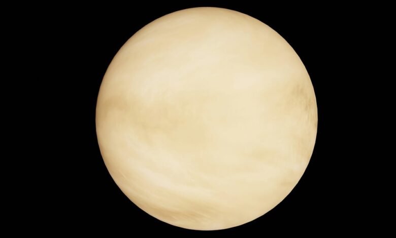 stellar profit orbit 911087241