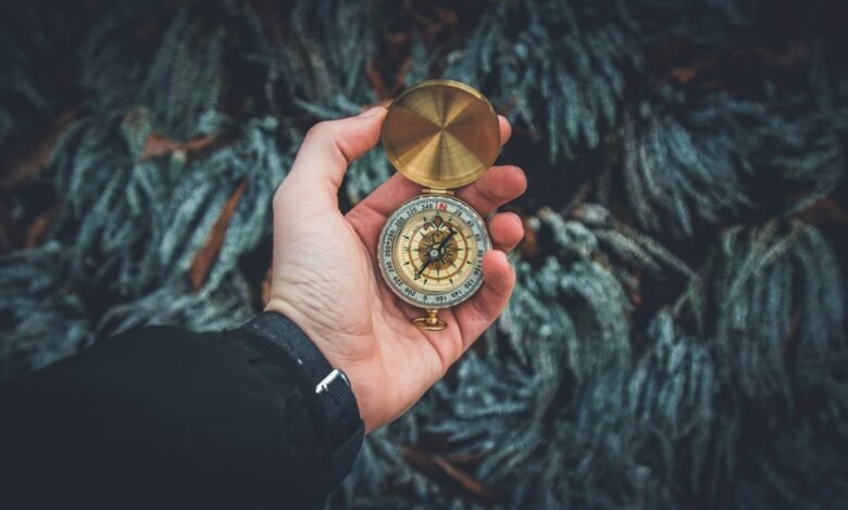 strategic competitive growth analysis